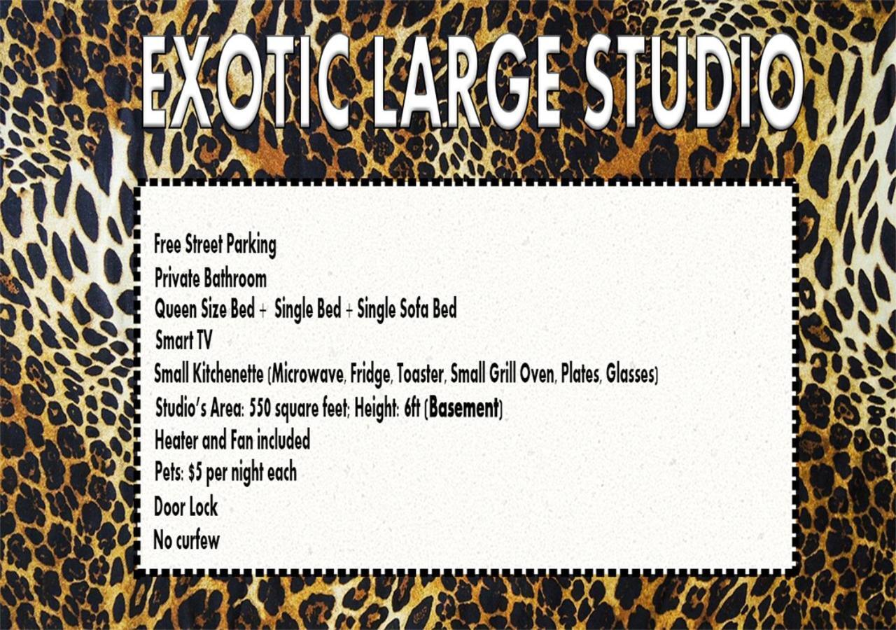 Exotic Large Basement Studio Montreal Exterior photo